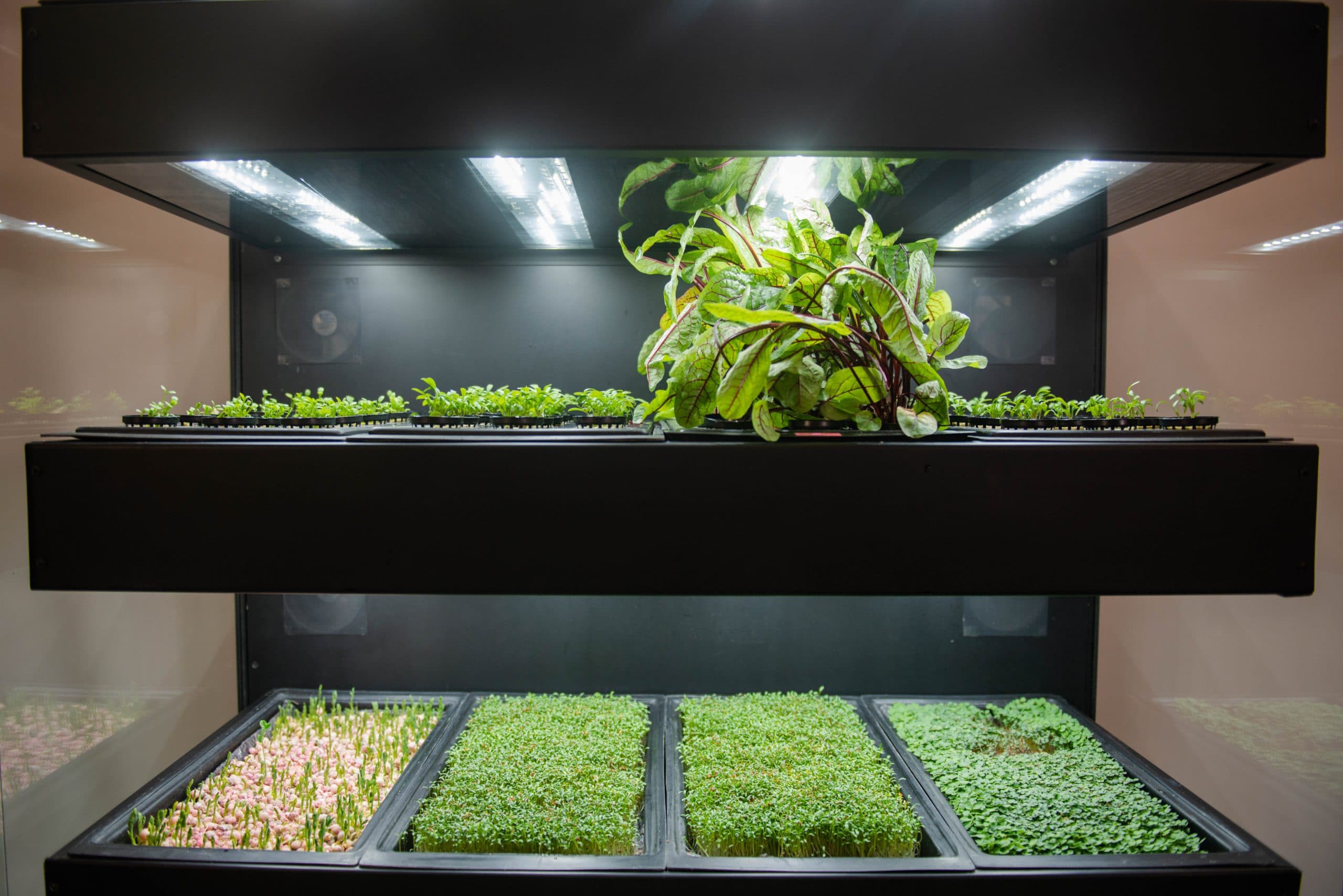 Giriş sayfası görseli