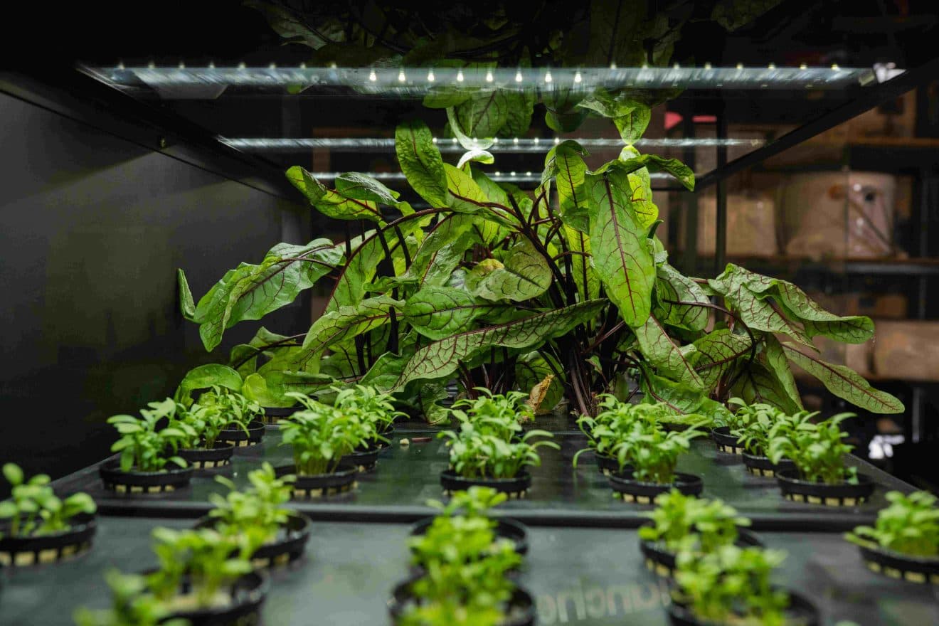 Kayıt sayfası görseli