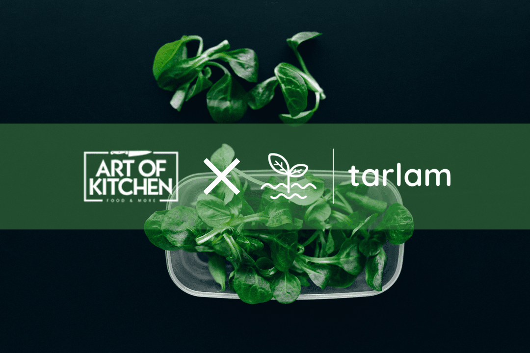 Art of Kitchen x Tarlam