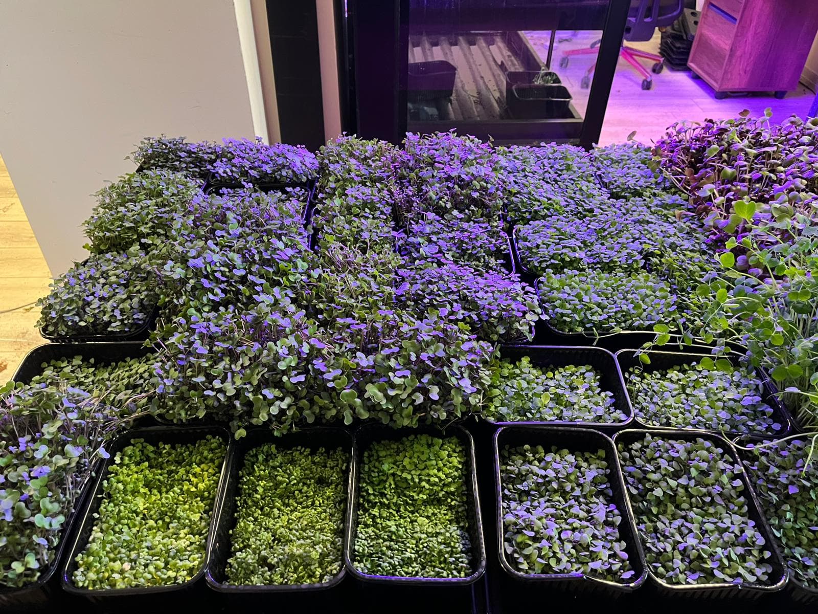 Cihaz Üretiminden Bitki Fabrikasına